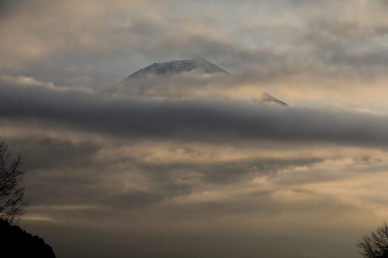 a0188405_17464336.jpg