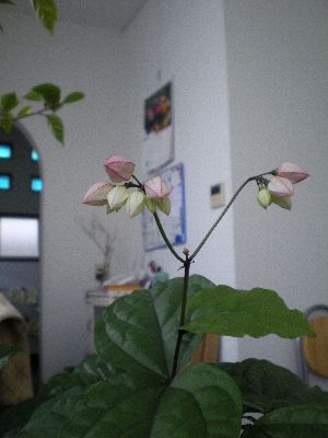 f0206605_19225643.jpg