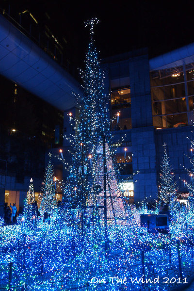 光のページェント*クリスマスイルミネーション_d0154507_6163576.jpg