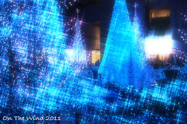 光のページェント*クリスマスイルミネーション_d0154507_713107.jpg