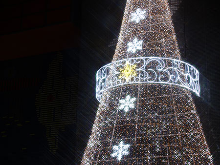 a0041508_0164592.jpg
