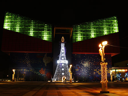 a0041508_0164711.jpg