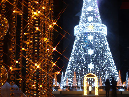 a0041508_0164932.jpg