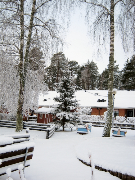 d0241813_71195.jpg