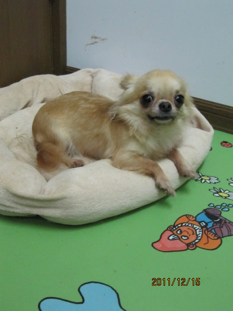 c0200916_22183239.jpg