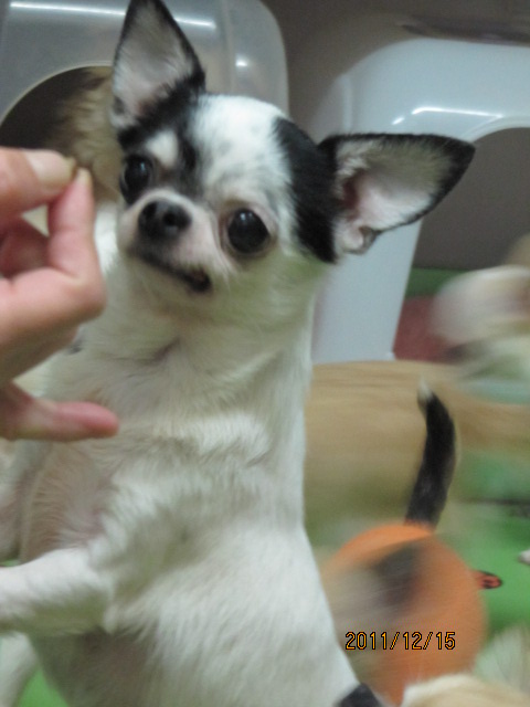 c0200916_22193871.jpg