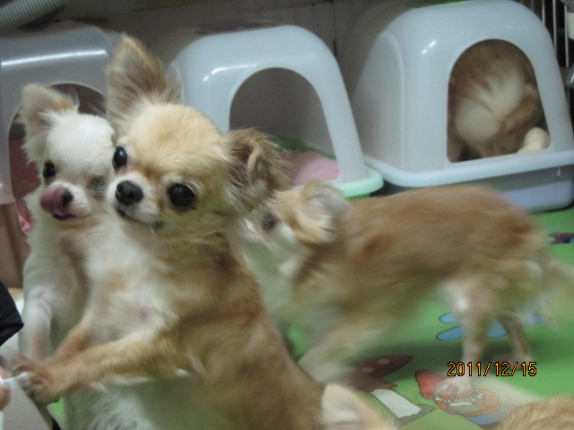 c0200916_22231882.jpg