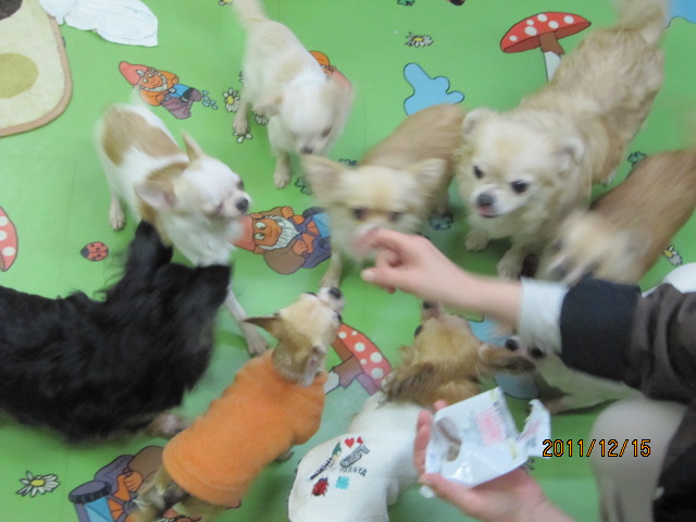 c0200916_2229543.jpg