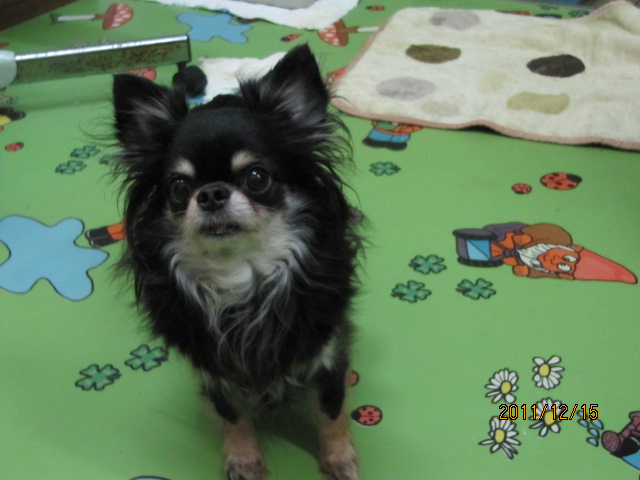 c0200916_2315266.jpg