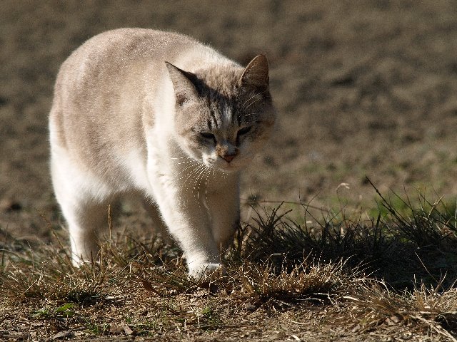 b0187620_2238891.jpg