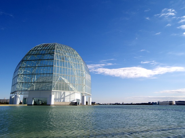 葛西臨海水族館_b0191026_145149.jpg