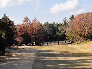c0147935_10353146.jpg