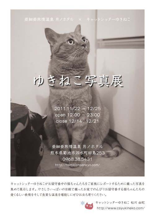 『ゆきねこ写真展』開催のお知らせ。_a0143140_041231.jpg