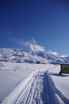 f0045846_18472826.jpg