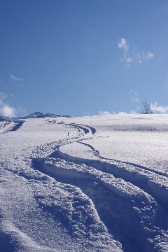 f0045846_19314444.jpg