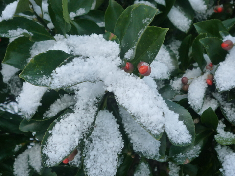 b0238249_20525233.jpg
