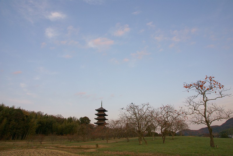 b0198768_2128264.jpg