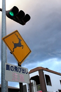 c0108673_15259.jpg
