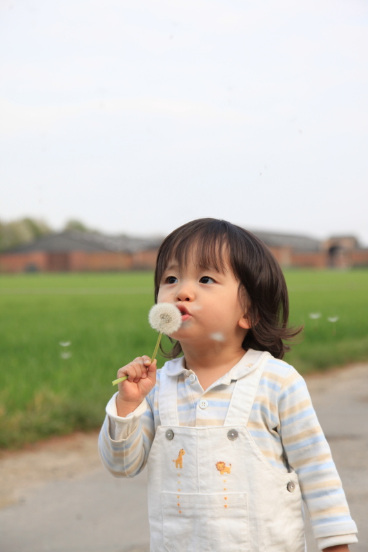 2011年 ぼうや特集_c0187779_8501528.jpg
