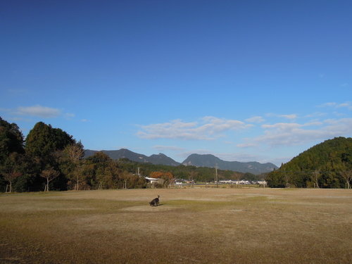 佐賀市へ達郎さんのコンサート。_d0195183_051952.jpg
