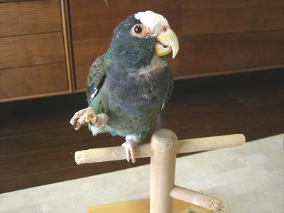 f0234590_1030442.jpg