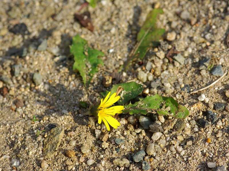 f0204094_0361830.jpg
