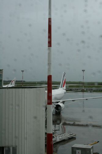 f0059796_2340282.jpg