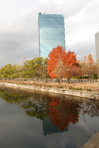 a0161998_17375095.jpg