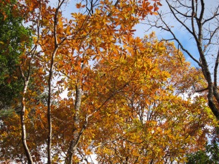 c0212298_1241080.jpg