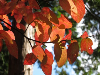 c0212298_125328.jpg