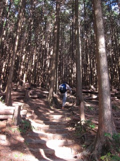 c0212298_1254854.jpg