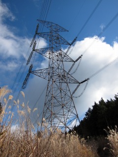 c0212298_12643.jpg