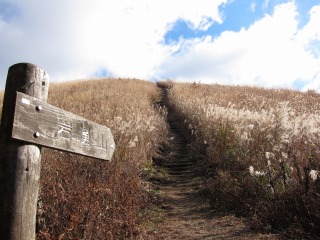 c0212298_126524.jpg