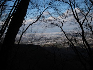 c0212298_1293342.jpg