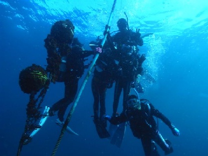 e0077899_73573.jpg