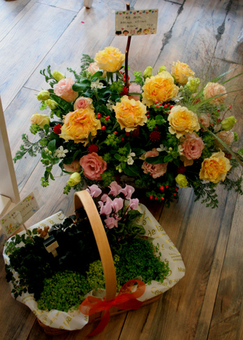 a0109304_2350448.jpg