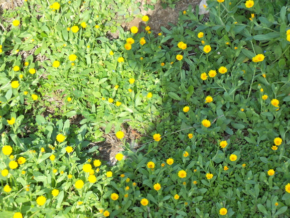 a0230008_41561.jpg