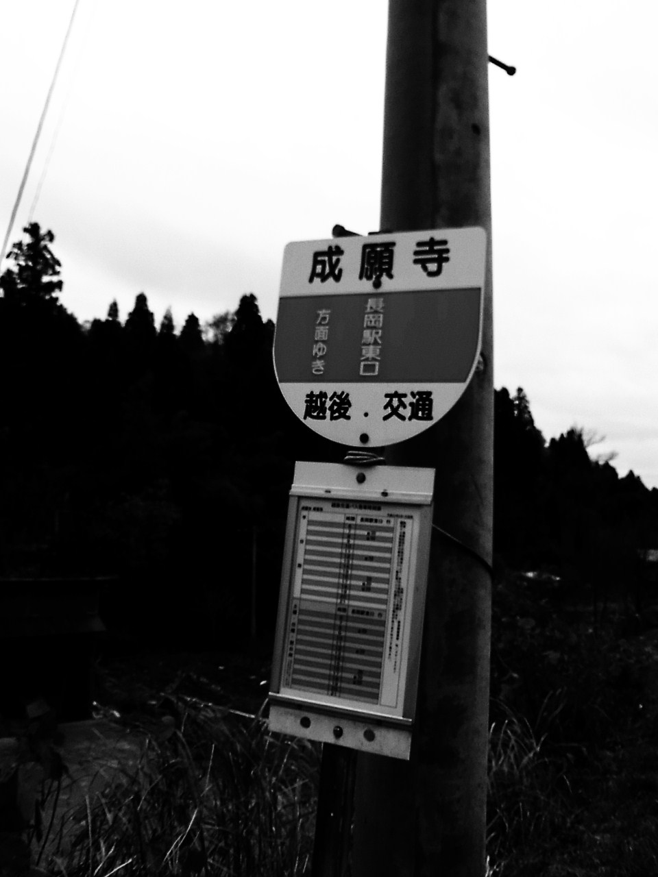 長岡成願寺温泉趾_d0039111_14172878.jpg