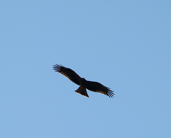e0034012_13283168.jpg