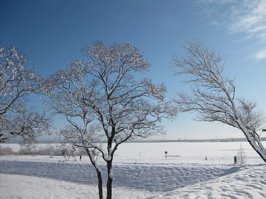 f0212313_16113897.jpg