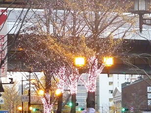 a0177314_1238813.jpg