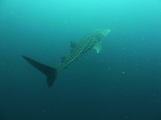 c0211615_23305937.jpg