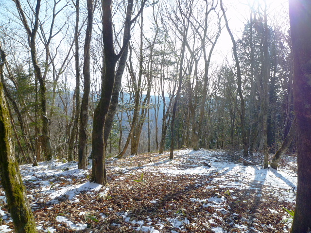 岐阜県の山　大船山 1,159M  荒峰山 1,274M に登る　　完_d0170615_10344062.jpg