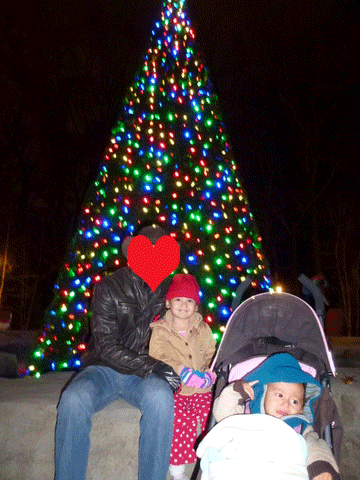 c0151122_1120495.gif