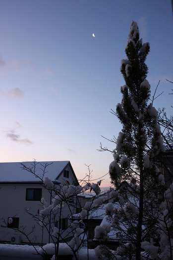 a0061023_8285424.jpg