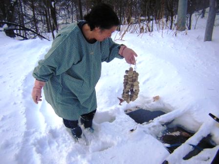 冬の寒さと太陽の温かさが作り出すもの_b0206037_16435377.jpg