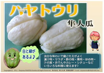 隼人瓜 岡マルカちゃんのベジフル日記 隼人瓜 岡マルカちゃんのベジフル日記