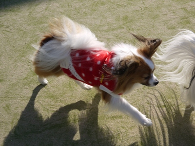 e0100046_22009.jpg