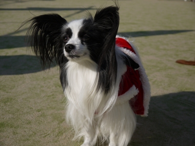 e0100046_2223235.jpg