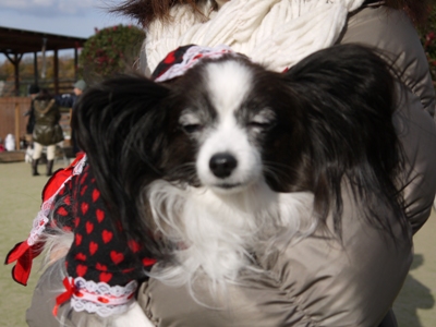 e0100046_225979.jpg